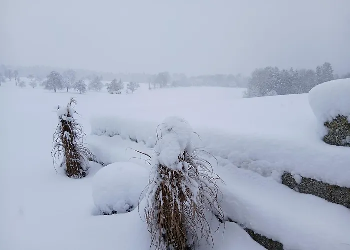 Waldlichtung Apartment *